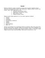 Referāts 'Krājumu uzskaites metodes', 3.