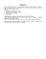 Referāts 'Krājumu uzskaites metodes', 10.