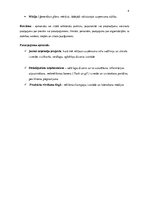 Referāts 'Uzņēmuma "L-design" organizatoriskā struktūra un personālvadības galvenās vadlīn', 4.