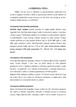 Referāts 'Uzņēmuma "L-design" organizatoriskā struktūra un personālvadības galvenās vadlīn', 5.