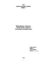 Referāts 'Maksājuma bilance', 1.