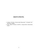 Referāts 'Maksājuma bilance', 10.