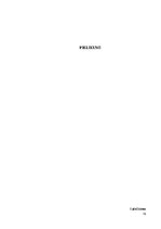 Referāts 'Krimināllikuma 193.1.panta analīze', 15.