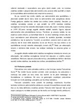 Diplomdarbs 'Ceļu satiksmes negadījuma konstatēšanas un izskatīšanas kārtība', 81.