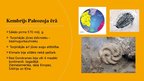 Prezentācija 'Zemes un dzīvības ģeohronoloģiskā attīstība', 4.