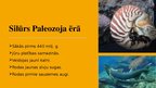 Prezentācija 'Zemes un dzīvības ģeohronoloģiskā attīstība', 6.
