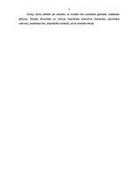 Referāts 'Personāla plānošana un atlase uzņēmumā', 5.