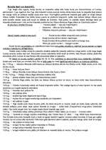 Konspekts 'Krusta kari un karavīri', 1.