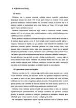 Referāts 'Sienu mūra bloku salīdzinājums', 3.