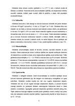 Referāts 'Sienu mūra bloku salīdzinājums', 5.