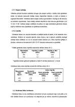 Referāts 'Sienu mūra bloku salīdzinājums', 6.