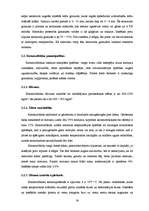 Referāts 'Sienu mūra bloku salīdzinājums', 11.