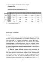 Referāts 'Sienu mūra bloku salīdzinājums', 16.