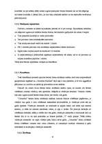 Referāts 'Sienu mūra bloku salīdzinājums', 18.