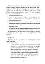 Referāts 'Sienu mūra bloku salīdzinājums', 19.