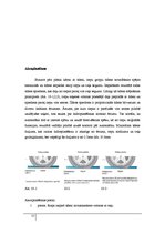 Referāts 'Spēku iedarbe uz automobili, akvaplanēšana', 12.