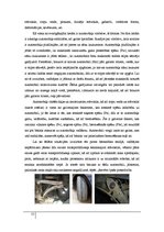 Referāts 'Spēku iedarbe uz automobili, akvaplanēšana', 22.