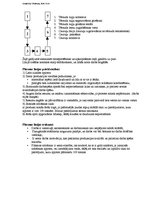 Konspekts 'AS "Metālapstrāde" uzņēmējdarbības vietas analīze', 3.