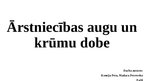 Prezentācija 'Ārstniecības augu un krūmu dobe', 1.