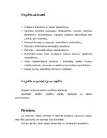 Referāts 'Kādā skolā es vēlētos strādāt', 3.