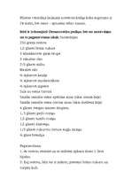 Referāts 'Ziemassvētki ārzemēs', 4.