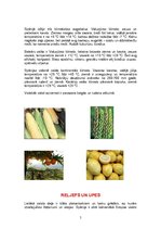 Referāts 'Spānija', 5.