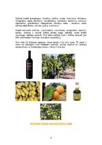 Referāts 'Spānija', 15.