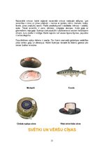 Referāts 'Spānija', 21.