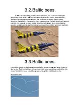 Prezentācija 'Aviācija, lidmašīnas', 9.