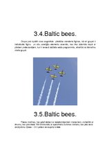 Prezentācija 'Aviācija, lidmašīnas', 10.