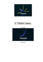 Prezentācija 'Aviācija, lidmašīnas', 12.