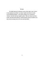 Referāts 'Zigfrīds Anna Meierovics', 3.