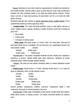 Konspekts 'Mācību formas un skolēnu radošā darbība', 3.