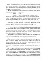 Konspekts 'Mācību formas un skolēnu radošā darbība', 4.