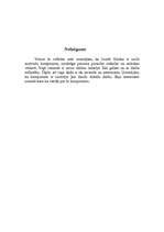 Referāts 'Jozefs Haidns', 12.