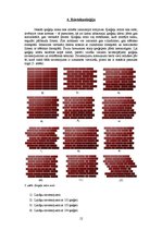Referāts 'Siltumizolētas ķieģeļu sienas', 12.