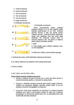 Referāts 'Siltumizolētas ķieģeļu sienas', 13.