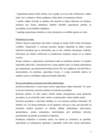 Konspekts 'Iekšējās kontroles sistēma uzņēmumā', 8.