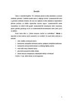 Referāts 'Teritoriālplānošanas koncepcija un subjekti', 3.