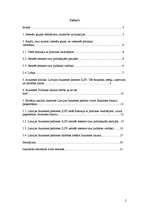 Referāts 'Latvijas Jaunatnes padomes darbība, virzot jaunatnes politikas likuma pieņemšanu', 2.