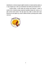 Referāts 'Mārketinga komunikāciju plāns - apsildāmā apģērba ražošana', 6.