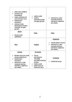 Referāts 'Mārketinga komunikāciju plāns - apsildāmā apģērba ražošana', 17.