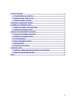 Biznesa plāns 'Biznesa plāns sabiedrība ar ierobežotu atbildību "Re-Tro"', 2.