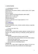 Biznesa plāns 'Biznesa plāns sabiedrība ar ierobežotu atbildību "Re-Tro"', 3.