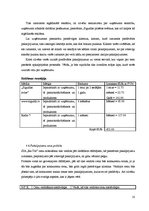 Biznesa plāns 'Biznesa plāns sabiedrība ar ierobežotu atbildību "Re-Tro"', 10.