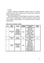 Biznesa plāns 'Biznesa plāns sabiedrība ar ierobežotu atbildību "Re-Tro"', 15.