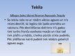 Prezentācija 'Tekila', 7.