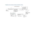 Paraugs 'Elektriskās tenzometrijas izmantošana dinamisko deformāciju un spriegumu eksperi', 4.