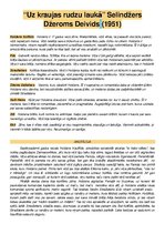 Konspekts 'Recenzija "Uz kraujas rudzu laukā"', 1.