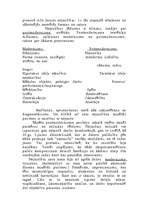 Eseja 'Nejaušība un māksla', 2.